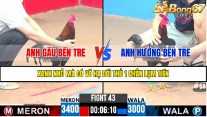 TRẬN 43 CPC3 28/4/2025 : ANH GẤU BẾN TRE VS ANH HƯỞNG BẾN TRE