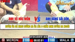 TRẬN 45 CPC1 7/4/2025 : ANH VŨ HÓC MÔN VS ANH ĐẴNG SÀI GÒN