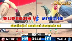 TRẬN 45 CPC3 21/4/2025 : ANH LƯỢM BÌNH DƯƠNG VS ANH PHÚ SÀI GÒN