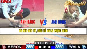 TRẬN 51 CPC1 7/4/2025 : ANH ĐẴNG VS ANH DŨNG