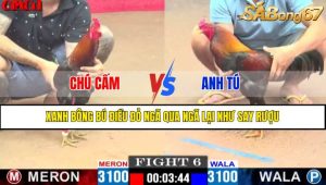 TRẬN 6 CPC1 15/4/2025 : CHÚ CẤM VS ANH TÚ