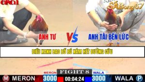 TRẬN 8 CPC1 15/4/2025 : ANH TƯ VS ANH TÀI BẾN LỨC