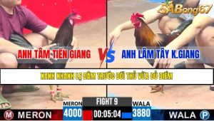 TRẬN 9 CPC3 21/4/2025 : ANH TÂM TIỀN GIANG VS ANH LÂM TÂY K.GIANG