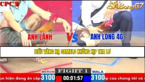 Trận 1 CPC1 2/4/2025