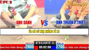 Trận 1 CPC2 4/4/2025