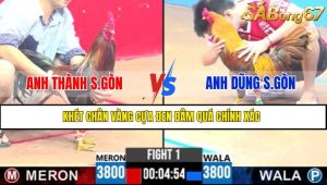 Trận 1 CPC3 13/4/2025