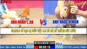 Trận 10 CPC1 3/4/2025