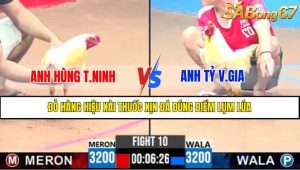 Trận 10 CPC3 12/4/2025