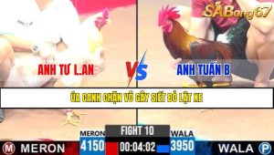 Trận 10 CPC3 13/4/2025