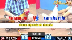 TRẬN 10 CPC3 16/4/2025