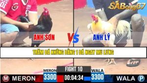 TRẬN 10 CPC3 17/4/2025