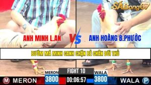TRẬN 10 CPC3 23/4/2025