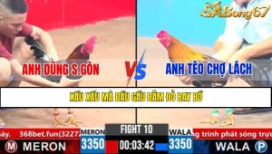 Trận 10 CPC3 3/4/2025