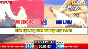 Trận 11 CPC1 2/4/2025