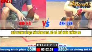 Trận 11 CPC1 5/4/2025