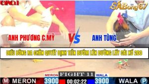 Trận 11 CPC1 8/4/2025