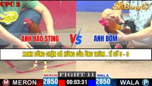 Trận 11 CPC2 11/4/2025