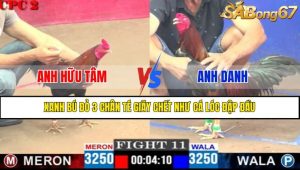 Trận 11 CPC2 13/4/2025