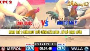 TRẬN 11 CPC2 16/4/2025