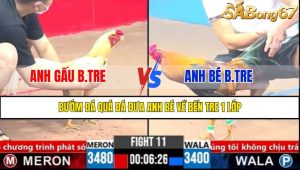 Trận 11 CPC3 1/4/2025