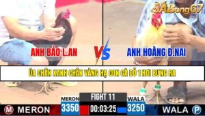 Trận 11 CPC3 11/4/2025