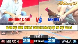 TRẬN 11 CPC3 22/4/2025