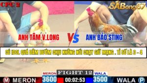 Trận 12 CPC2 11/4/2025