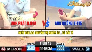 TRẬN 12 CPC2 16/4/2025