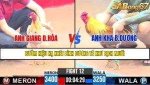 Trận 12 CPC3 13/4/2025