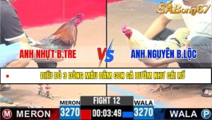 Trận 12 CPC3 6/4/2025