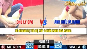 Trận 12 CPC3 8/4/2025