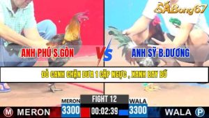 Trận 12 CPC3 9/4/2025