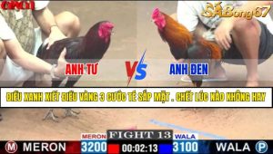 TRẬN 13 CPC1 17/4/2025