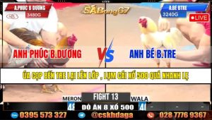 TRẬN 13 CPC3 22/4/2025