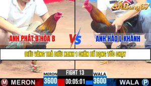 TRẬN 13 CPC3 23/4/2025