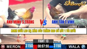 TRẬN 13 CPC3 29/4/2025