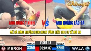 TRẬN 13 CPC3 30/4/2025