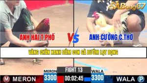 Trận 13 CPC3 8/4/2025
