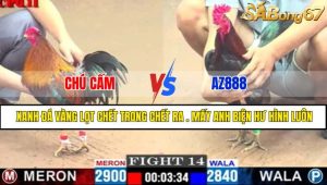 Trận 14 CPC1 12/4/2025