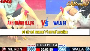TRẬN 14 CPC1 19/4/2025