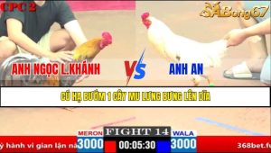 Trận 14 CPC1 2/4/2025