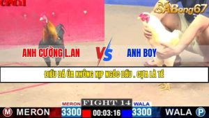Trận 14 CPC1 8/4/2025
