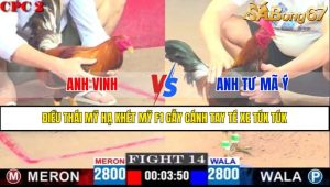 TRẬN 14 CPC2 16/4/2025