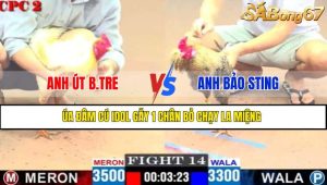 TRẬN 14 CPC2 18/4/2025
