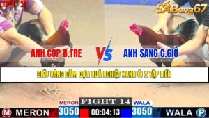 TRẬN 14 CPC2 20/4/2025