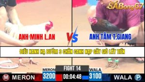 Trận 14 CPC3 13/4/2025