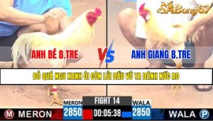 TRẬN 14 CPC3 16/4/2025