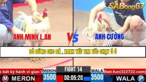 Trận 14 CPC3 2/4/2025