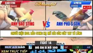 TRẬN 14 CPC3 22/4/2025