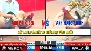 Trận 14 CPC3 3/4/2025